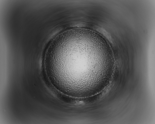 X0000093430159200710121208