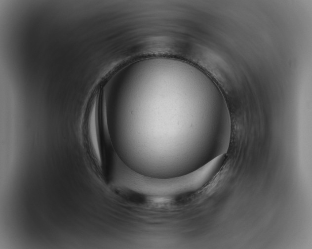 X0000093430160200710121208