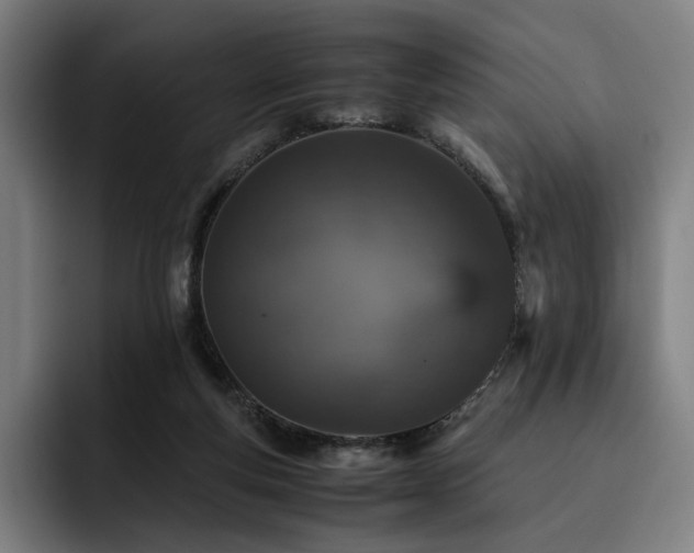 X0000093430163200710121208