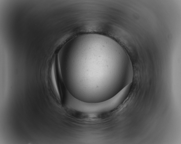X0000093430164200710121208