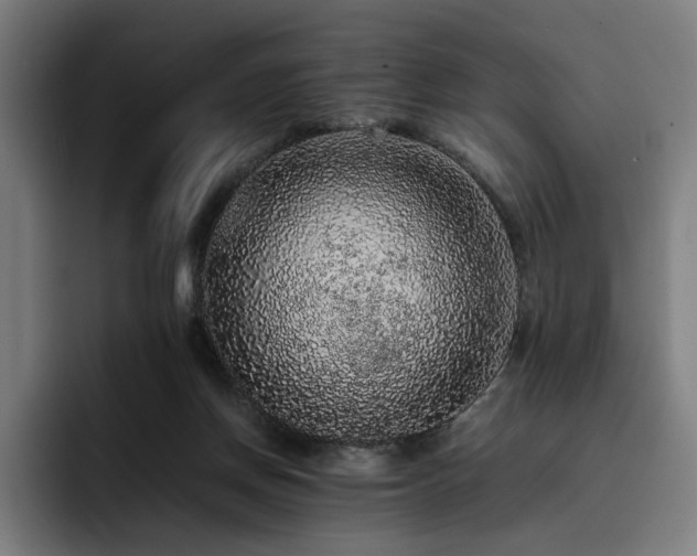 X0000093430166200710121208