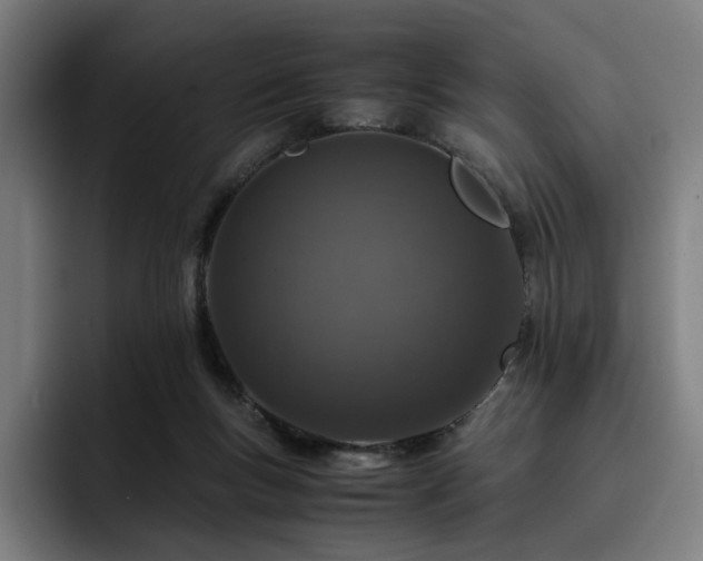 X0000093430167200710121208