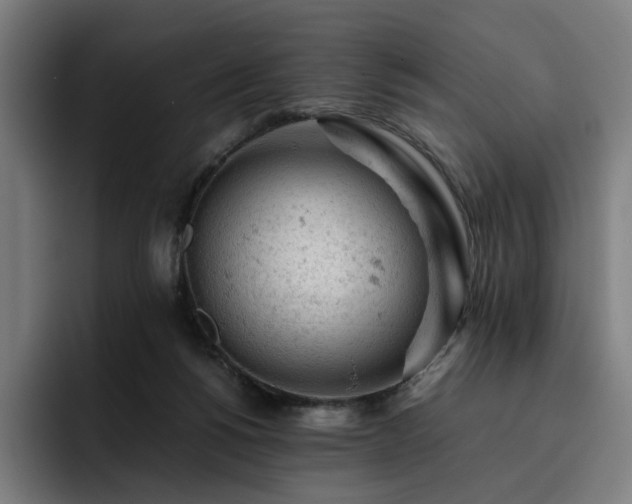 X0000093430168200710121208
