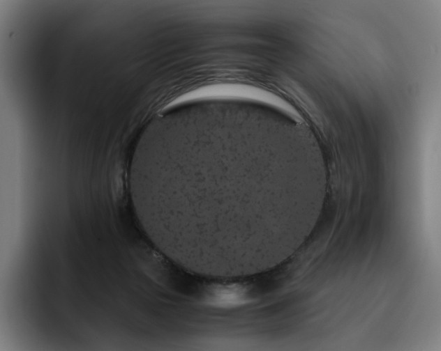 X0000093430169200710121208