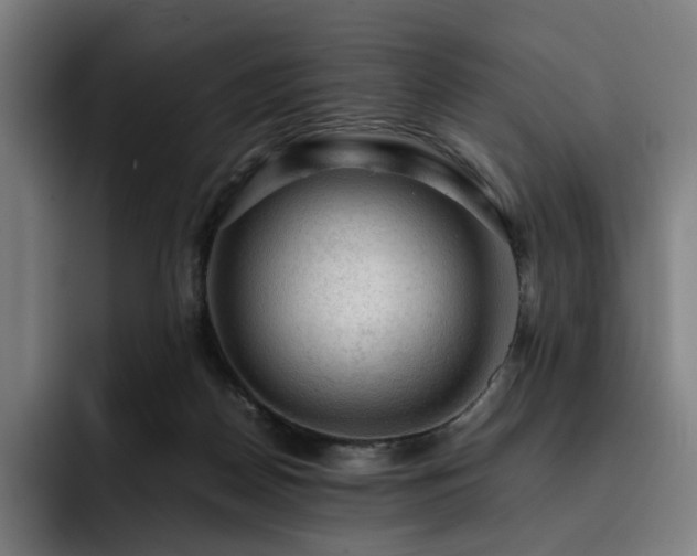 X0000093430170200710121208