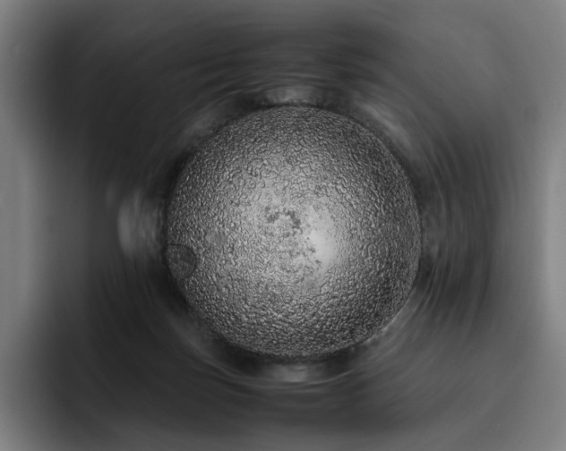 X0000093430171200710121208