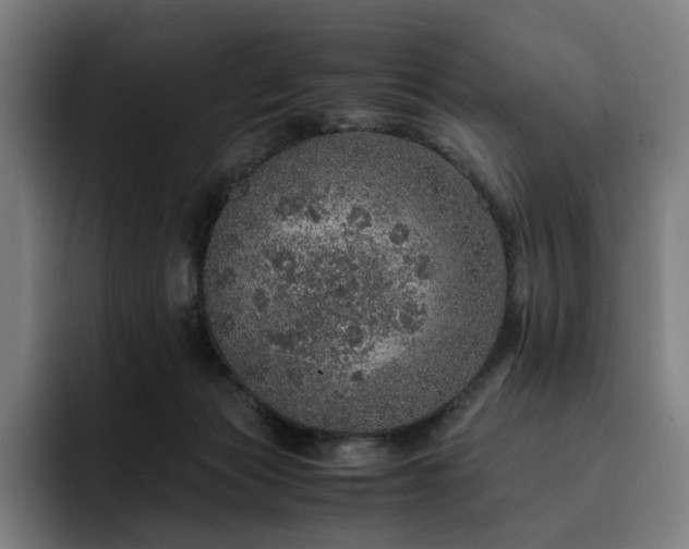 X0000093430173200710121208