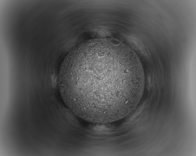 X0000093430177200710121208