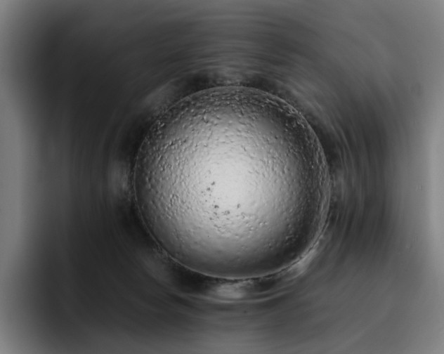 X0000093430178200710121208