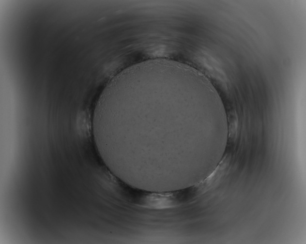 X0000093430179200710121208