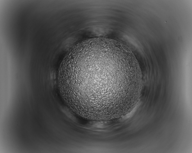 X0000093430182200710121208