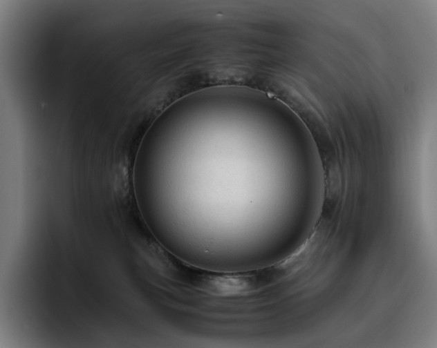 X0000093430183200710121208