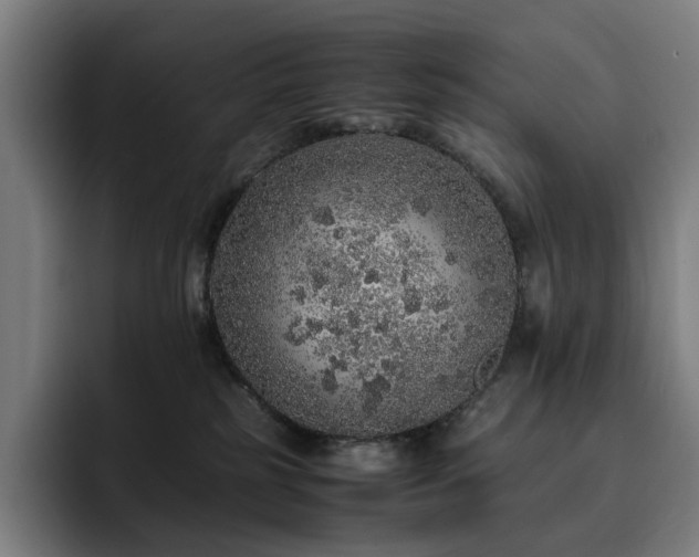 X0000093430185200710121208