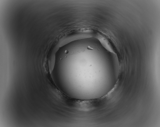 X0000093430186200710121208