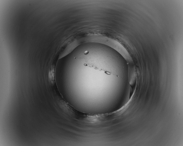 X0000093430190200710121208
