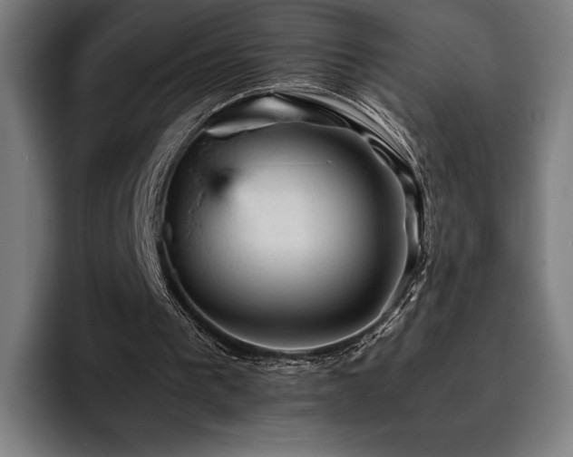 X0000093430193200710121208