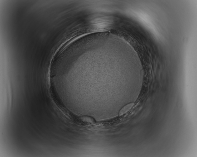 X0000093430194200710121208