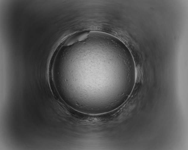X0000093430195200710121208
