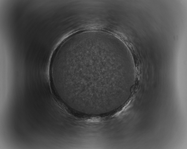 X0000093430196200710121208