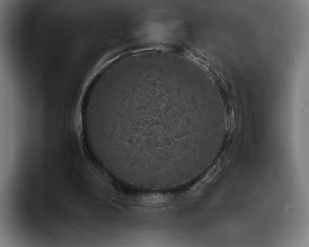 X0000093430198200710121208