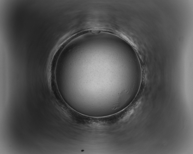 X0000093430199200710121208