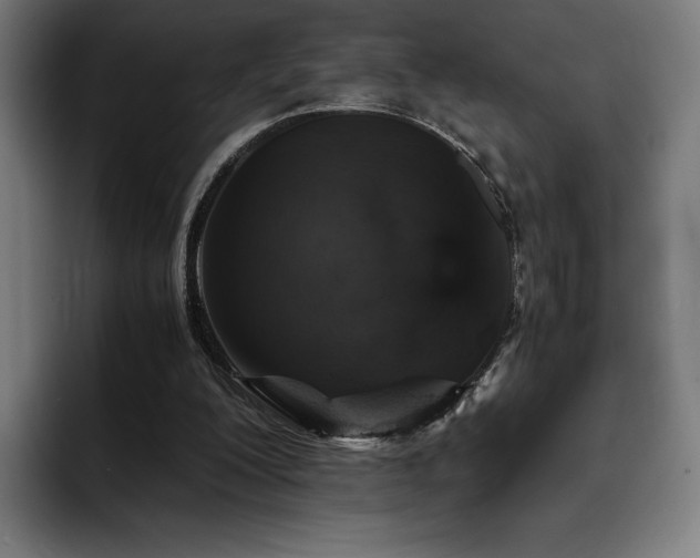 X0000093430200200710121208