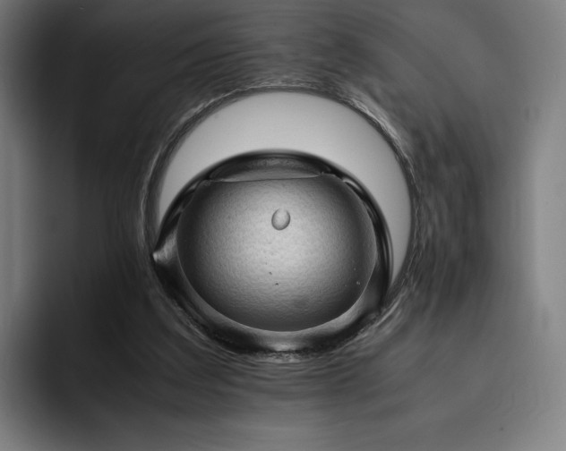X0000093430203200710121208