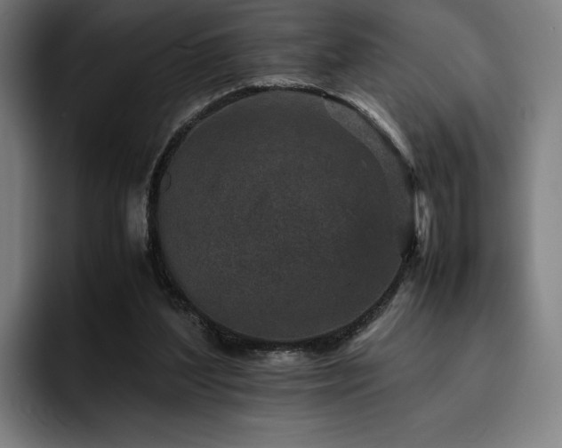 X0000093430204200710121208