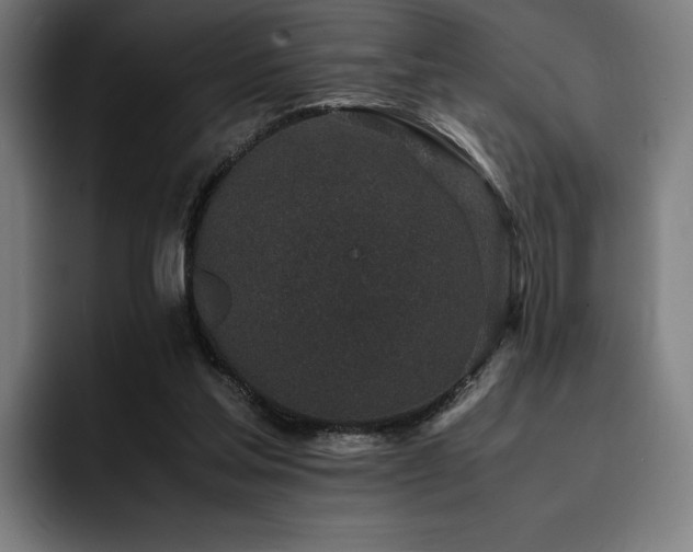 X0000093430205200710121208