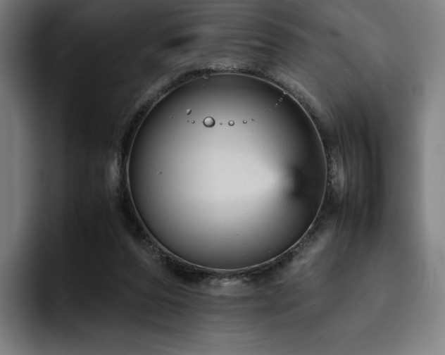 X0000093430208200710121208