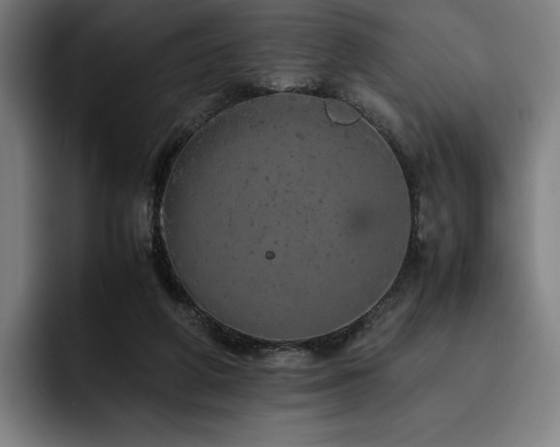 X0000093430210200710121208