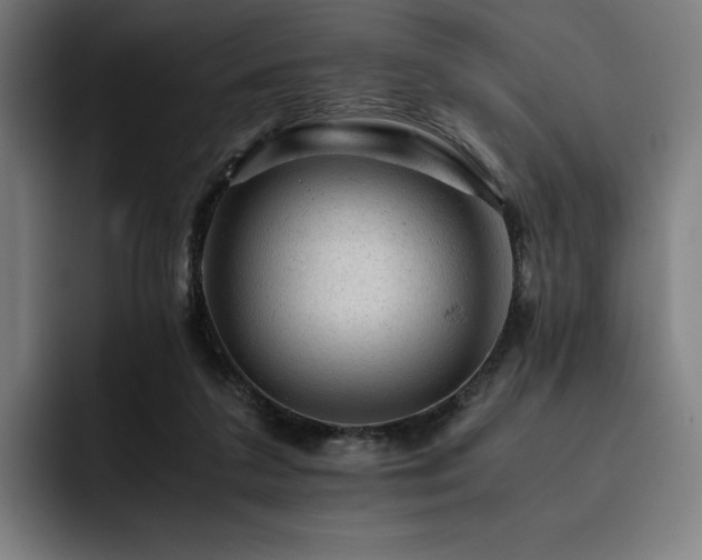X0000093430211200710121208