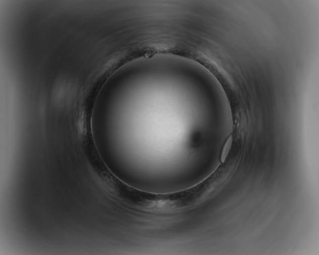 X0000093430212200710121208