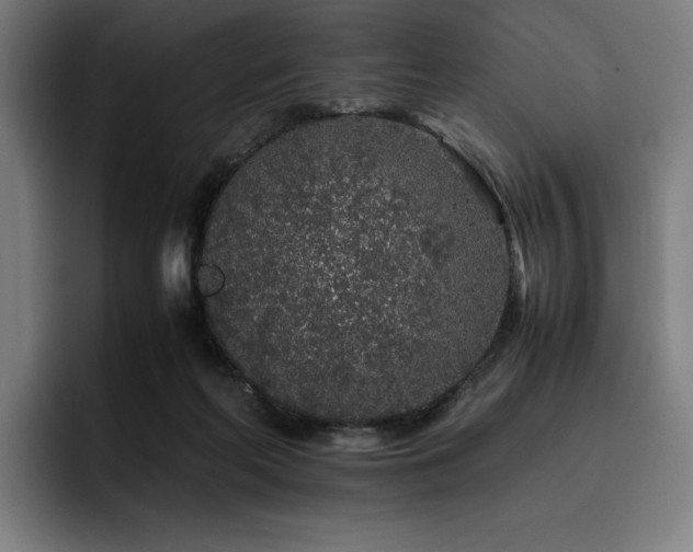 X0000093430214200710121208