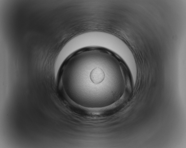 X0000093430215200710121208