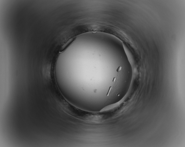 X0000093430217200710121208