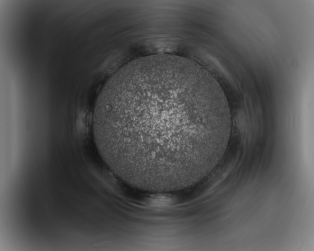 X0000093430218200710121208