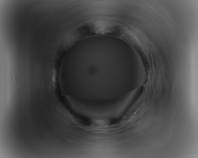 X0000093430219200710121208