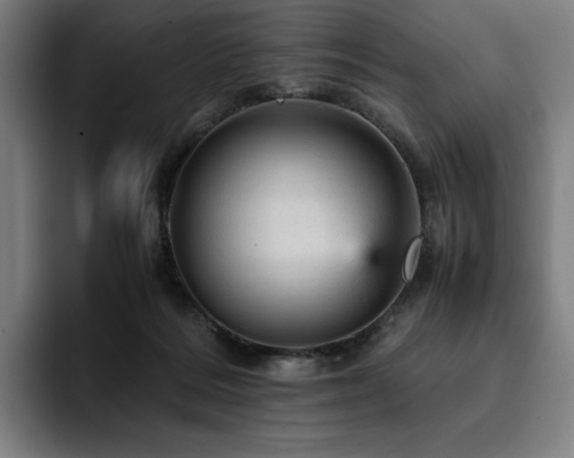 X0000093430220200710121208