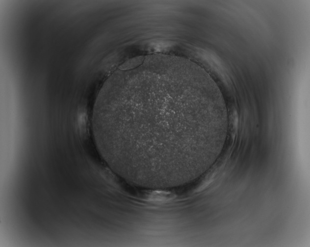 X0000093430222200710121207
