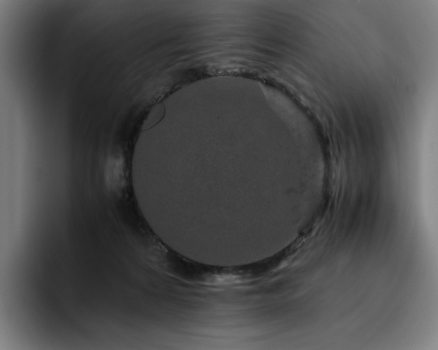X0000093430224200710121207