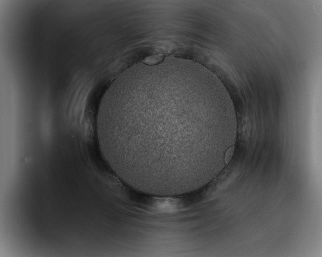 X0000093430226200710121207