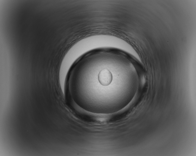 X0000093430227200710121207