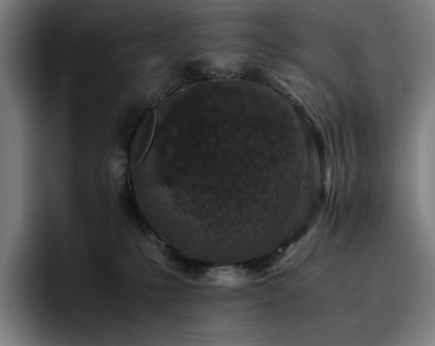 X0000093430231200710121207