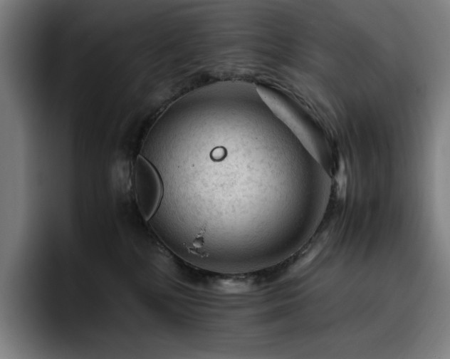 X0000093430232200710121207