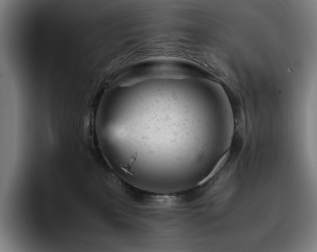 X0000093430233200710121207