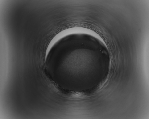 X0000093430235200710121207