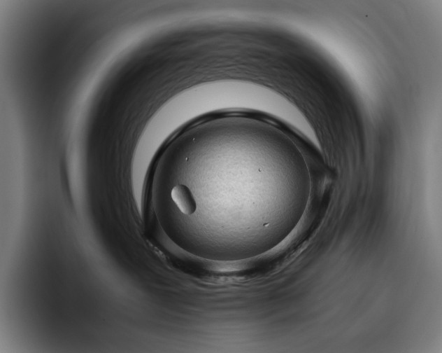 X0000093430239200710121207