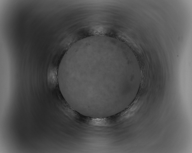 X0000093430240200710121207