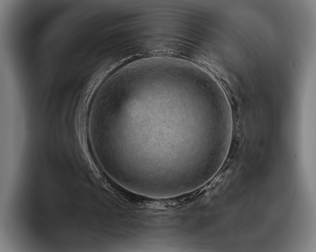 X0000093430241200710121207